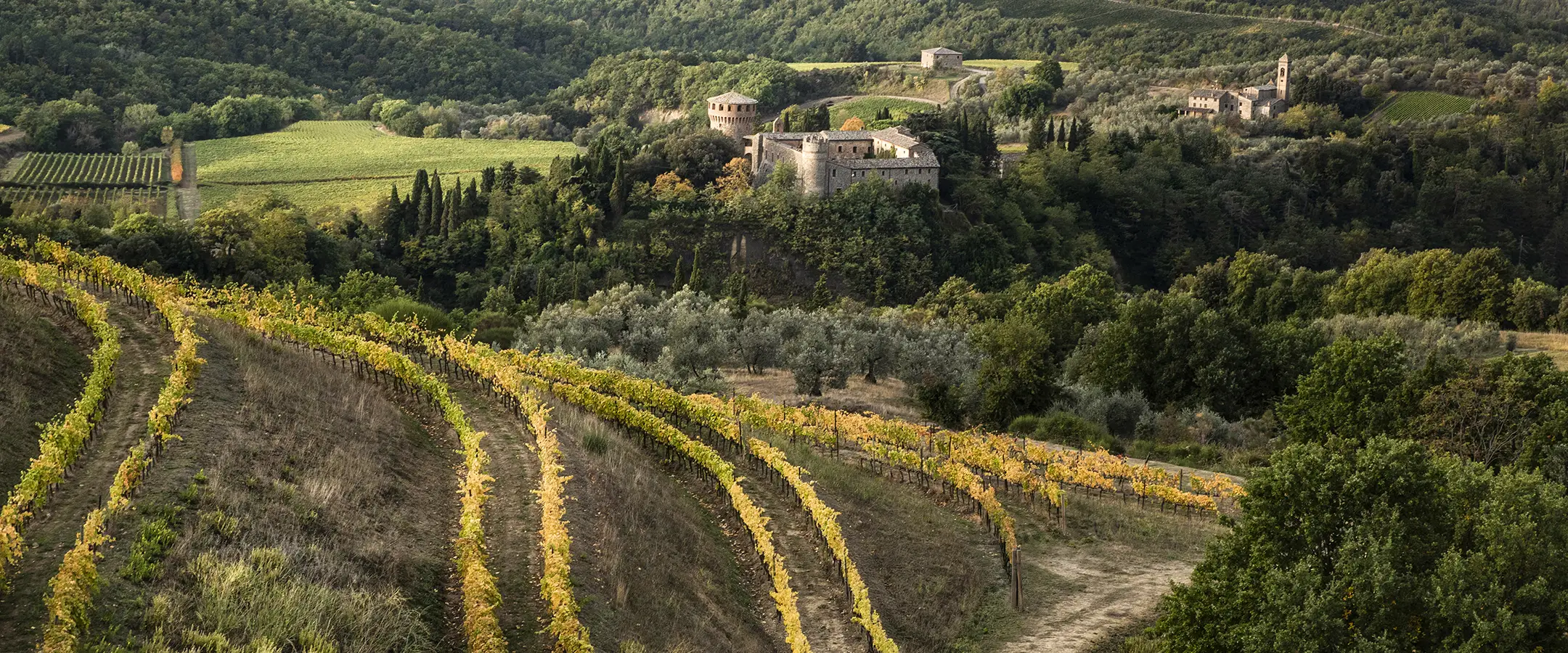The stunning vineyard view around Castella Sala.