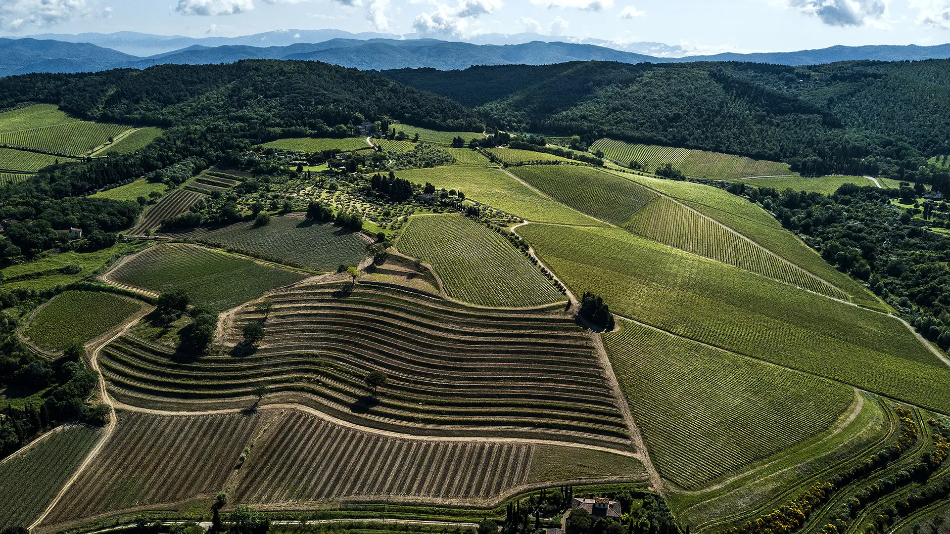 Arial views of Tignanello Paesaggi vineyards.