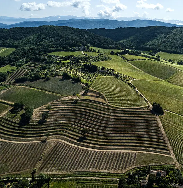 Arial views of Tignanello Paesaggi vineyards (mobile).