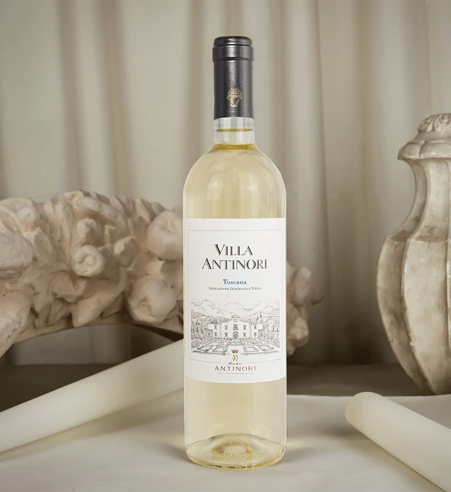 2024 Villa Antinori Bianco