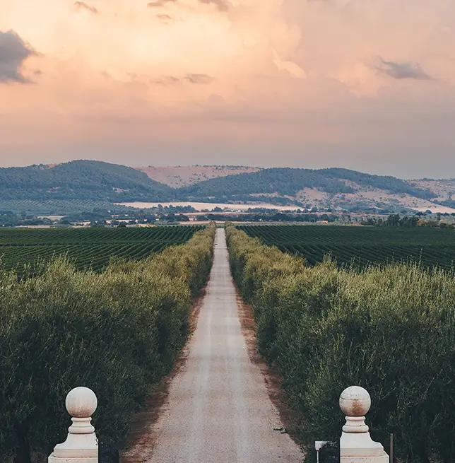 Vinattieri_1385_Bocca_di_Lupo_header_mobile