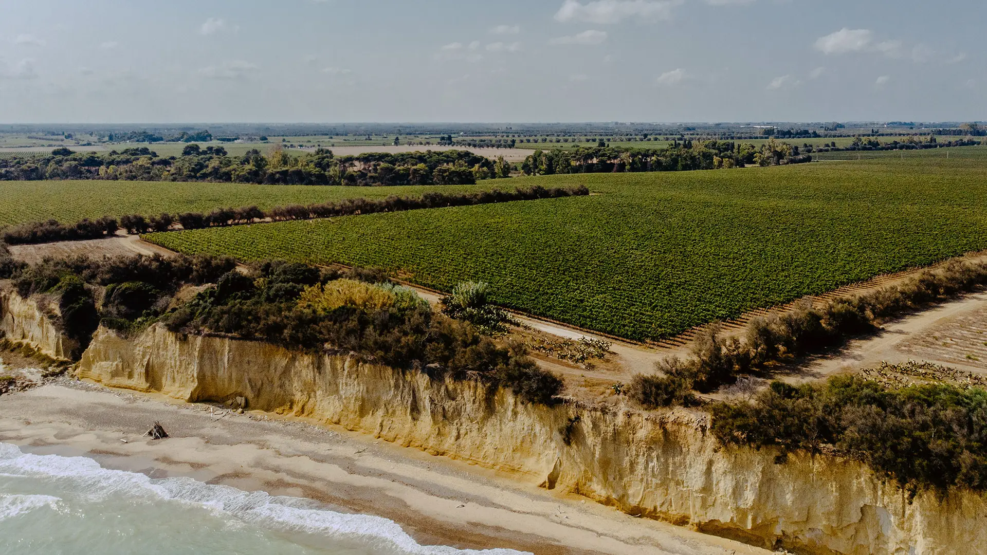 Arial image of Vinattieri 1385 Tormaresca.