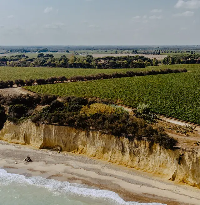 Arial image of Vinattieri 1385 Tormaresca (mobile).