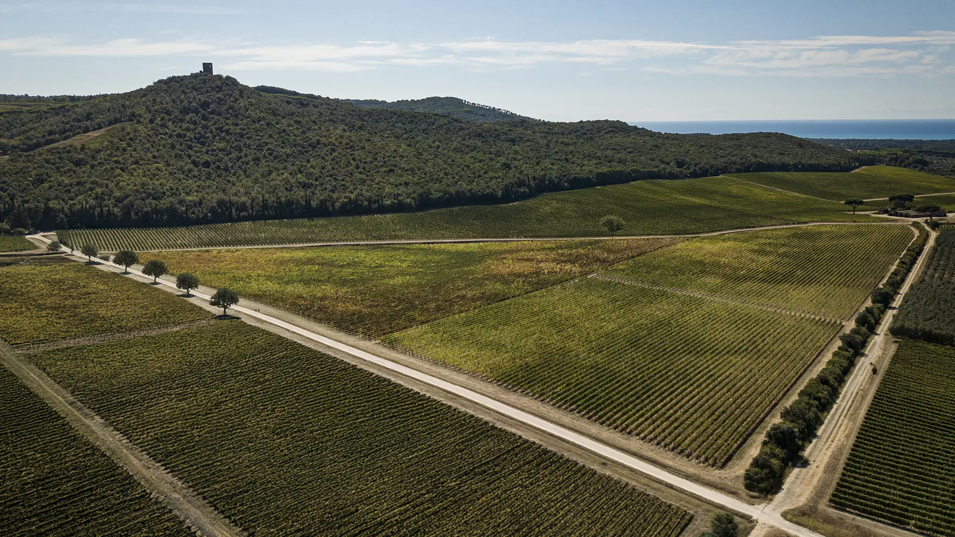 Vista dal Vigneto Terrazze.