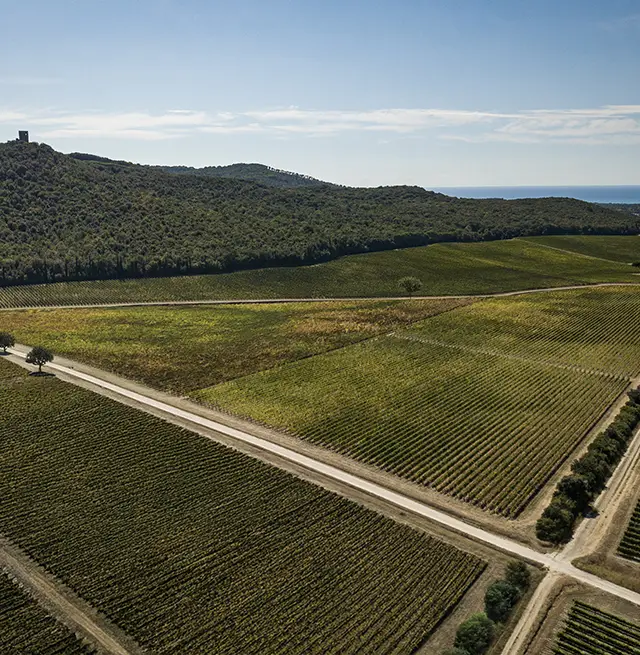 Vista dal Vigneto Terrazze (mobile).