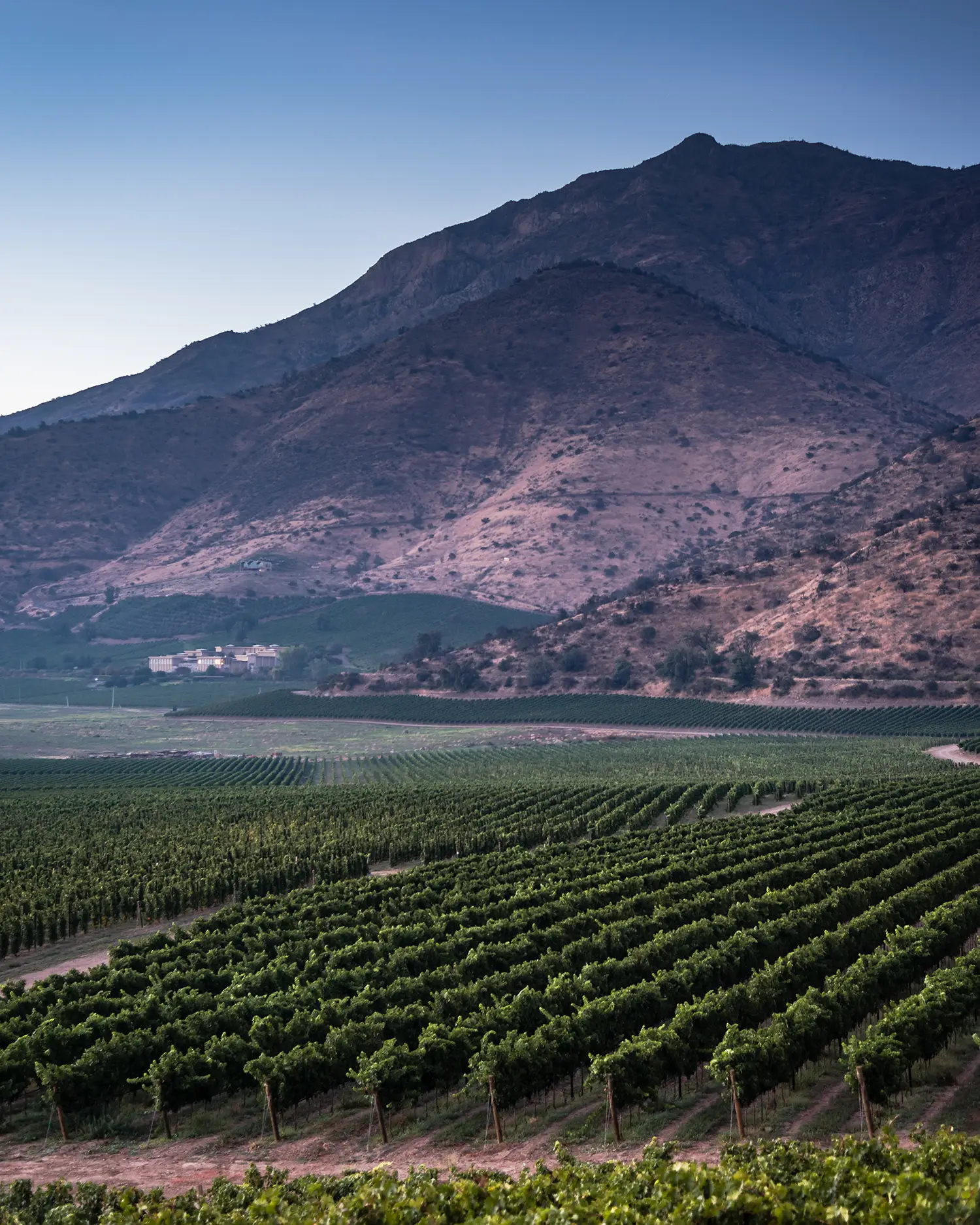 haras de Pirque vineyard